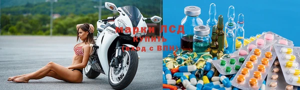 сатива Кондопога