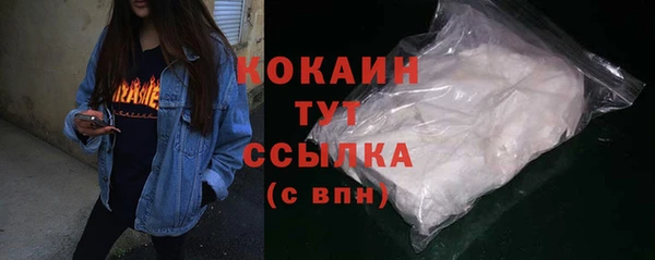 сатива Осинники