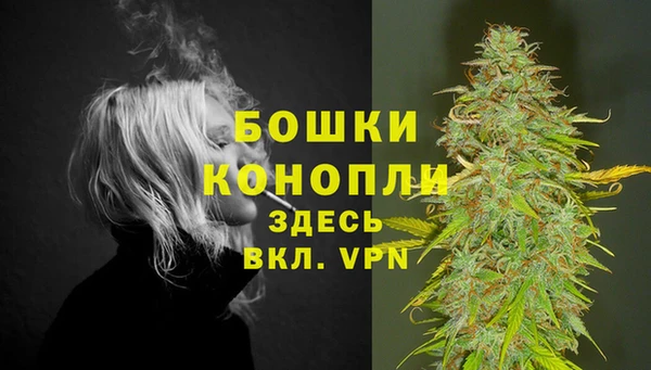 гидропоника Нязепетровск