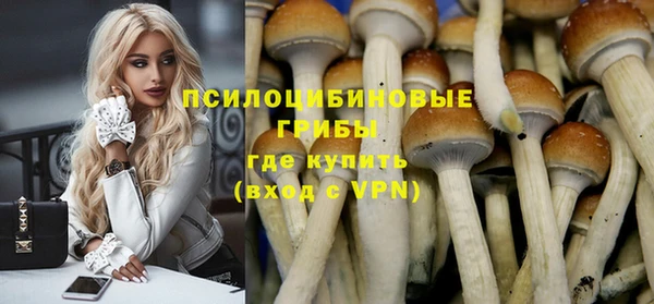 меф Нягань