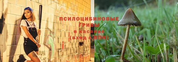 гидропоника Нязепетровск
