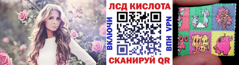 OMG tor  Петушки  Наркотические марки 1,5мг 