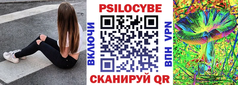 Галлюциногенные грибы Cubensis  где можно купить   Петушки 